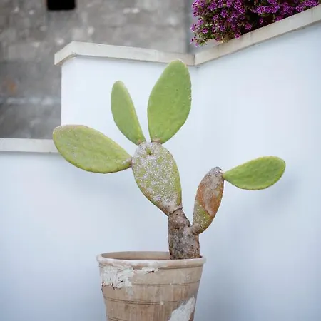 Palestro 5 Σπίτι διακοπών Leverano